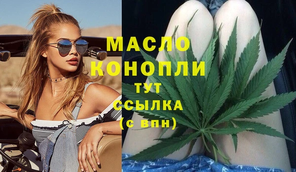 прущий лед Вяземский