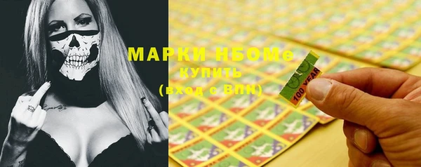 прущий лед Вяземский