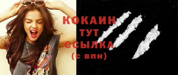 прущий лед Вяземский