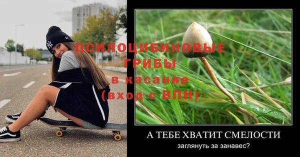 молекула духа Вязники
