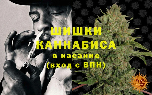 прущий лед Вяземский