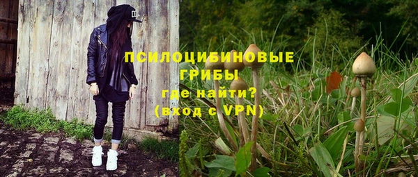 молекула духа Вязники