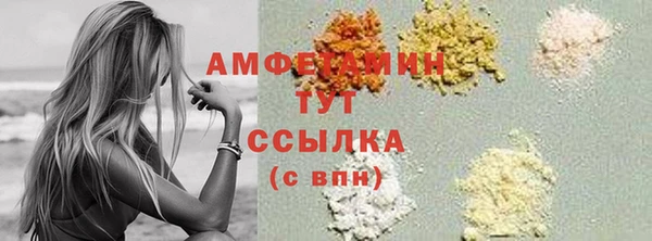 прущий лед Вяземский